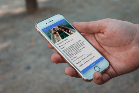 APP – Tours Ria Formosa