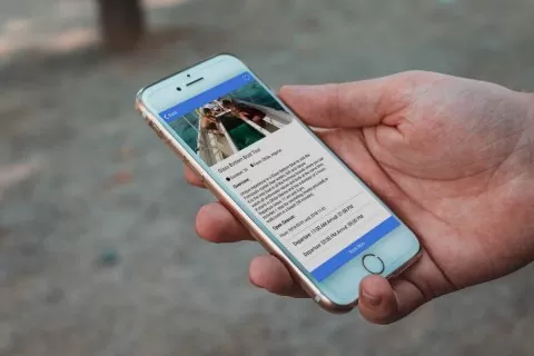 APP – Tours Ria Formosa